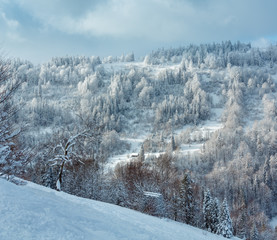 Winter Ukrainian Carpathian Mountains landscape.