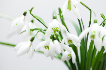 White lily of the valley in bouquet