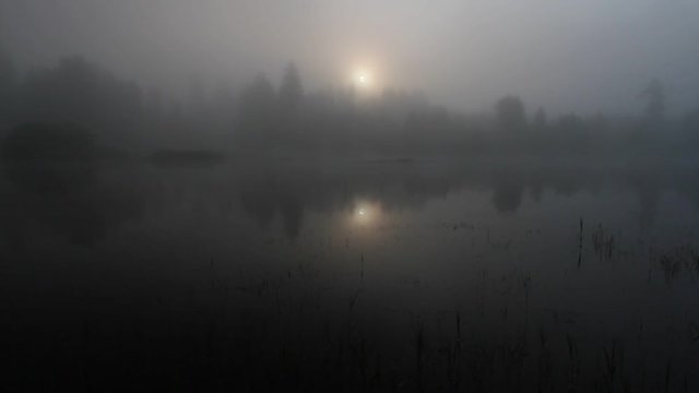 Misty swamp and lake in the early morning