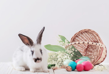 rabbit with Easter eggs on wooden background