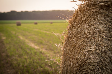 Hay sunset