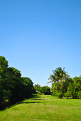 Obraz premium Florida Day