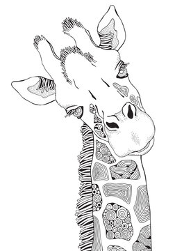 Coloring Book page for Adult and children. Giraffe