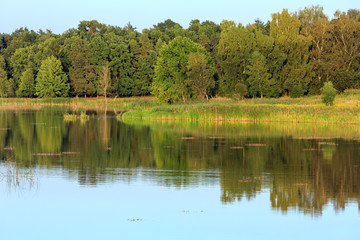 Fototapeta na wymiar Evening summer lake landscape.