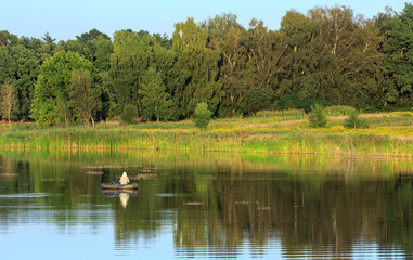 Evening summer lake landscape.