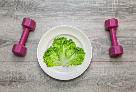 Calorie Restriction or Exercise