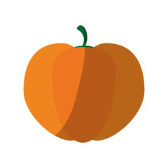pumpkin vegetable icon over white background. colorful design. vector illustration