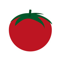 tomato vegetable icon over white background. colorful design. vector illustration