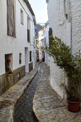 Fototapeta na wymiar Alley in Pampaneira, Alpujarras