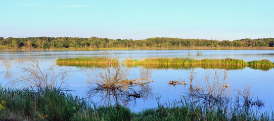 Evening summer lake landscape.