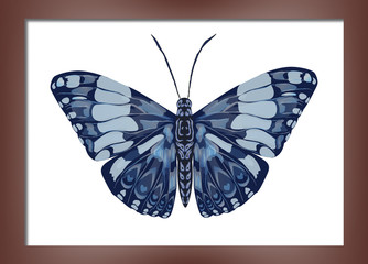 Painting with butterflies.