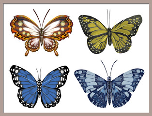 Plakat Painting with butterflies on a white background.