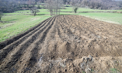 vegetable garden plow in the spring from the farmer