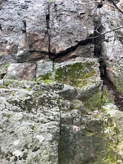 The texture of the stone.