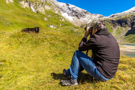 Ein Mann fotografiert eine Kuh in den Bergen