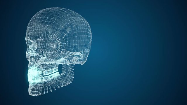 3d model of human skull of lines and points abstraction