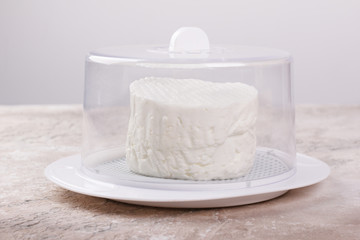 Wheel of brazilian traditional cheese Minas