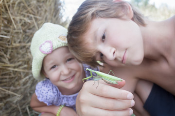 Two siblings touching green praying mantis in summer field