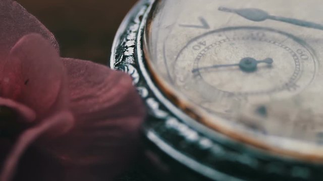 Close-up of pocket watch Next to a gently pink violet flower and passage of time