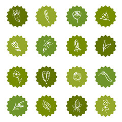 Hand Drawn vintage floral elements