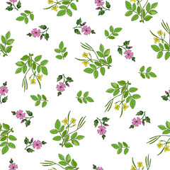 Seamless pattern with hand drawn medicinal plants