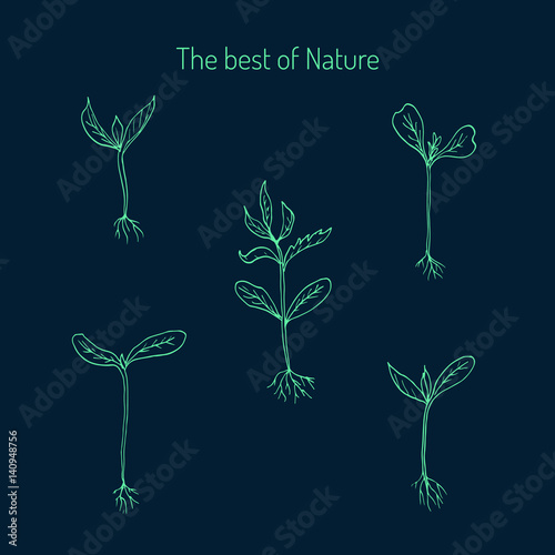 "Hand draw Sprouts plants" Stock image and royalty-free vector files on