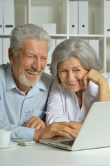 Elderly couple with a laptop