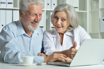 Fototapeta premium Elderly couple with a laptop