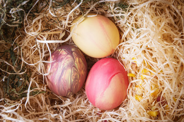 Close up of Easter painted eggs in nest