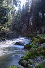 Obraz premium Bach im Hochformat in der Natur
