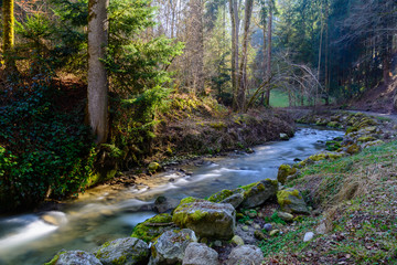 Wasser im Fluss durch den Wald in der Natur