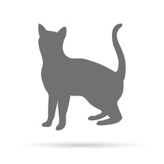 Icon silhouette of a gray cat on a white background