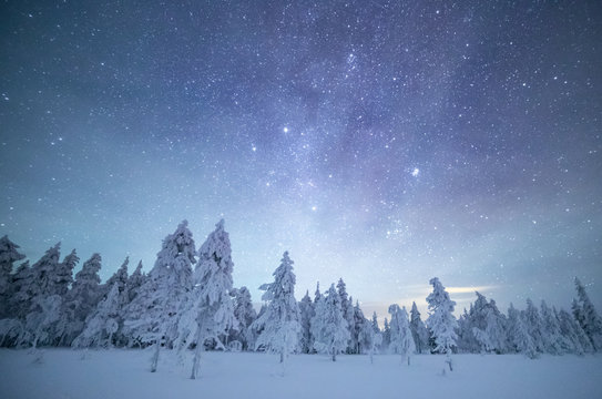 Stars in sky above snow covered forest, Finland