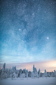 Stars in sky above snow covered forest, Finland