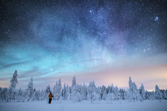 Stars in sky above snow covered trees, Finland