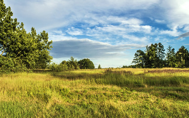 Obraz premium white clouds over green meadow