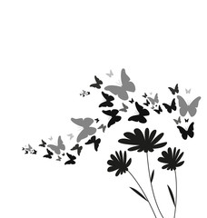 Vector silhouette of flying butterflies and flowers