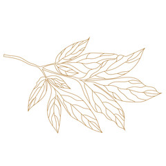 Golden graphical branch and leaves of plants. Palm leaves isolated on white background. Vector