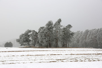 Szron na drzewach, pola pod śniegiem.