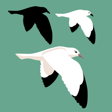 seagull vector illustration style Flat set silhouette