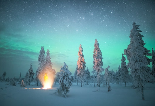 Campfire and snow covered trees at night in Finland