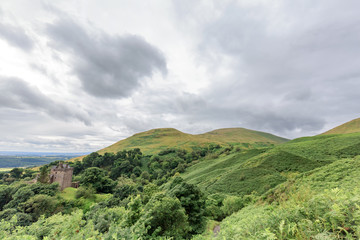 Ferns on the hillside above Castle Campbell near Dollar, Scotland.