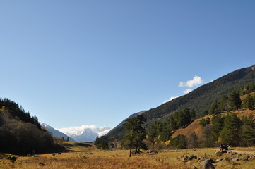 Mountain autumn landscape with colorful forest