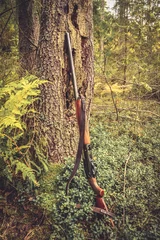 Store enrouleur tamisant Chasser Pistolet à tronc d& 39 arbre en forêt pendant la saison de chasse