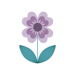 beautiful flower icon over white background. colorful design. vector illustration