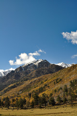 Mountain autumn landscape with colorful forest