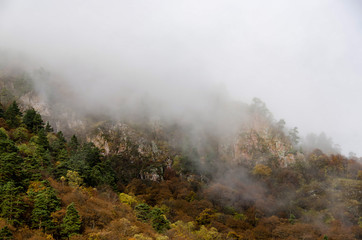 Mountain slope covered with thick fog