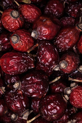 Close-up vertical photo of dried berry dogrose (rose-hip) background. Healthy food and agriculture concept