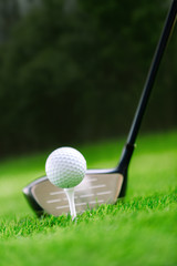 Shot of golf ball with golf club on green grass