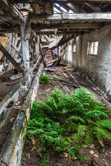 Ruins of pig house in former Soviet collective farm in abandoned Masheve settlement, Chernobyl Exclusion Zone, Ukraine